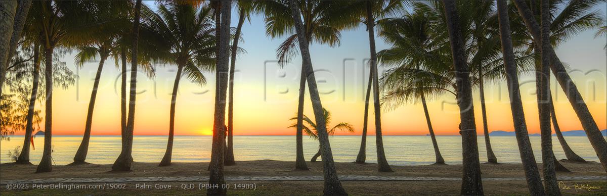Peter Bellingham Photography Palm Cove - QLD (PBH4 00 14903)